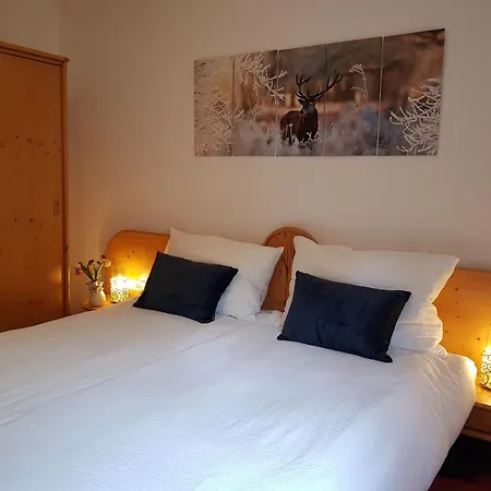 Apartment Alpinresort 6 By Interhome